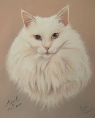 white cat in pastels