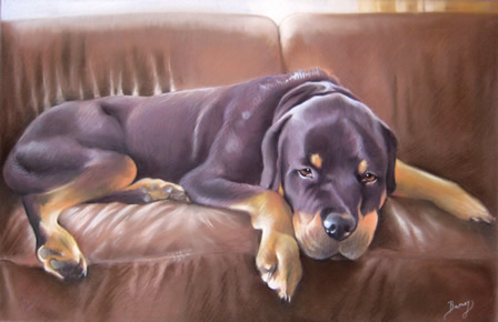 Portrait of a Rottweiler Dog